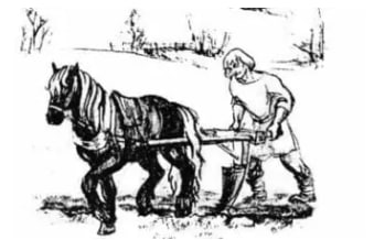 Описание изображения