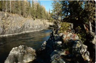 Описание изображения