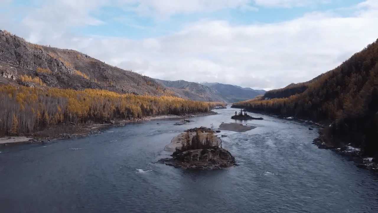 Описание изображения