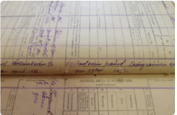 Описание изображения