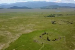 Описание изображения