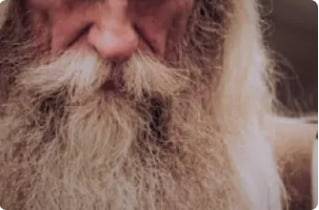 Описание изображения